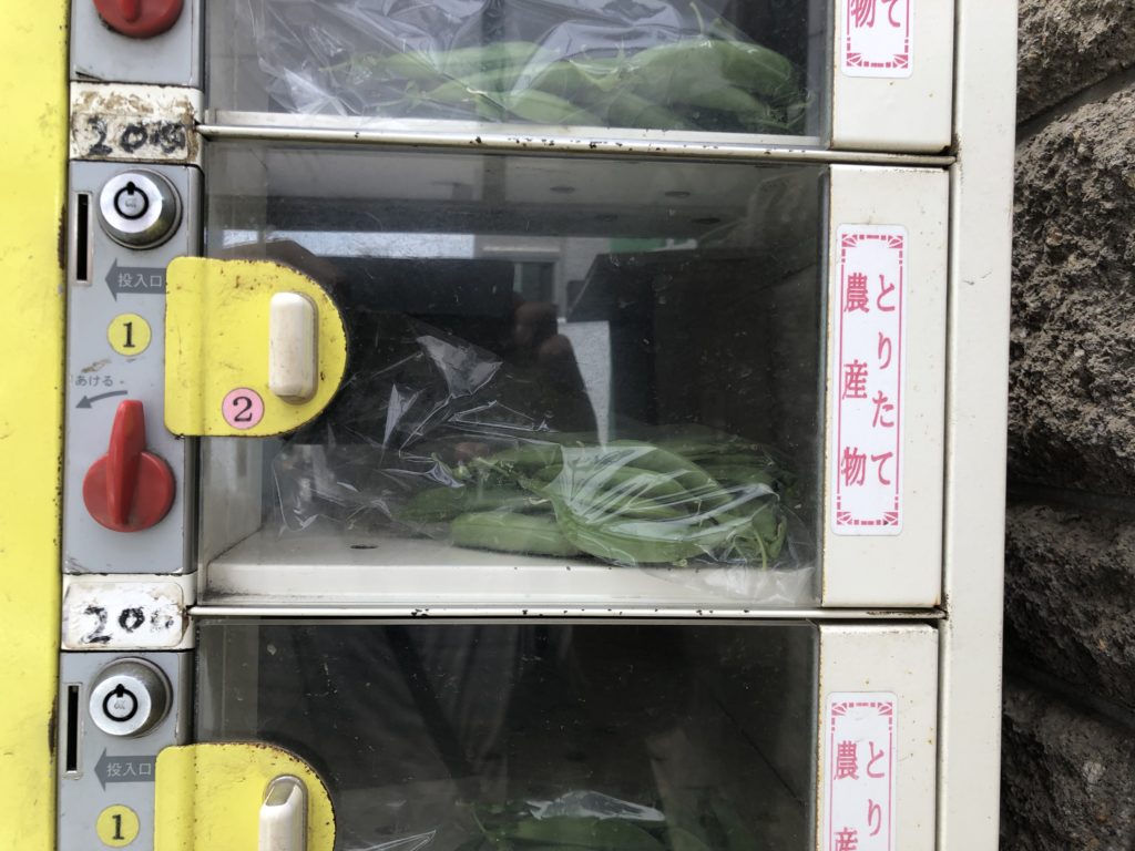 無人野菜販売所のえんどう豆