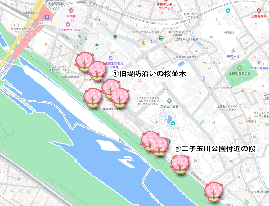 二子玉川の桜マップ