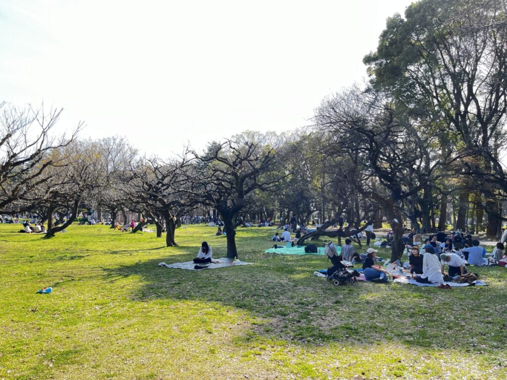 お花見シーズンの砧公園の様子(2024年3月30日)